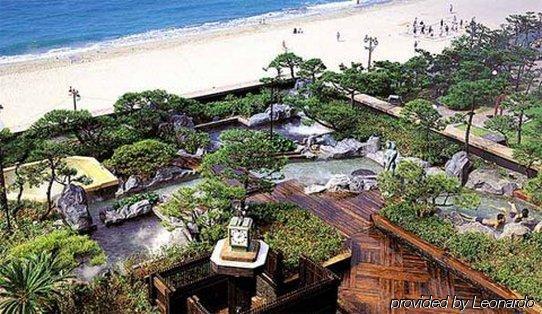 Rio Roiss Hotel Rio de Janeiro Kültér fotó